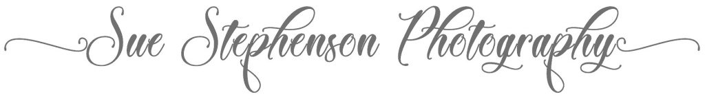 Sue Stephenson Photography logo